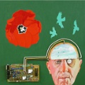 Don Art_screenview_1500dpi (90)_sm